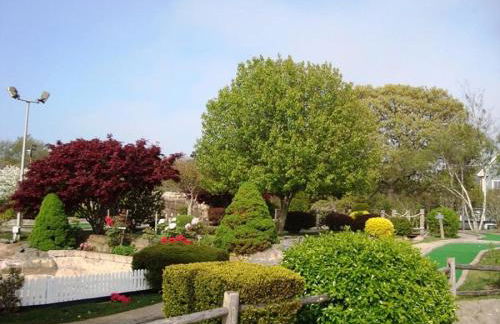 25 Grey Neck Road West Harwich Cape Cod - - Crosswinds II - Foto 9