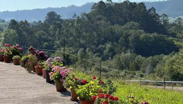 Casa Rural La Pereda - Foto 2