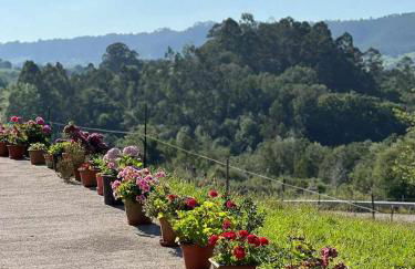 Casa Rural La Pereda - Foto 2