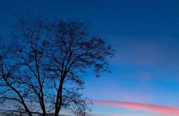 Ferienwohnung auf Pferdehof bei Neustadt - Foto 37