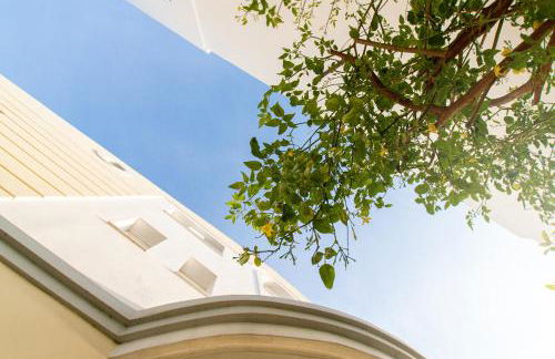 Diamante Beachfront Suites - Foto 8