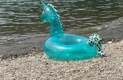 Ferienwohnung Studio Bella Verde - Foto 45