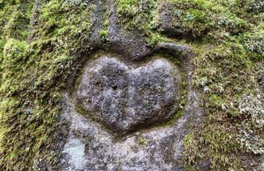 Apartment #3Panoramablick - Foto 32