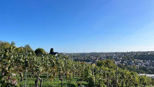 Ferienwohnung am Rotmannsweg - Foto 3