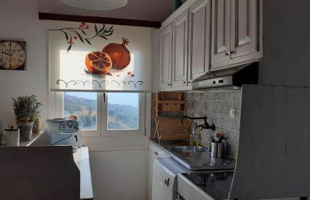 Flower house - Foto 7