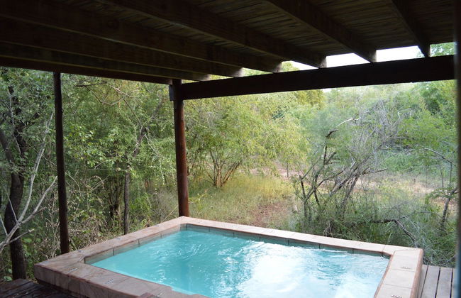 Lion Tree Bush Lodge - Foto 27