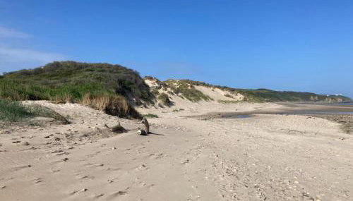 Aparthotel Des 2 Caps - Foto 3