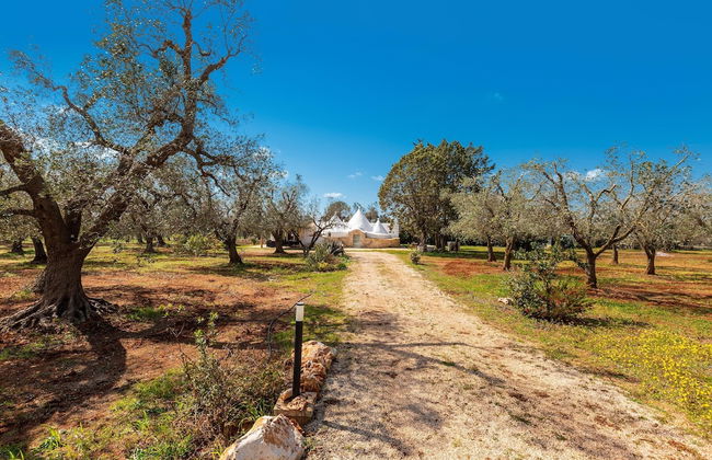 2770 Uliveto Valeria - Trullo Melograno by Perle di Puglia - Foto 40