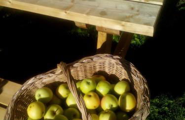 Casa Villamana - Photo 48