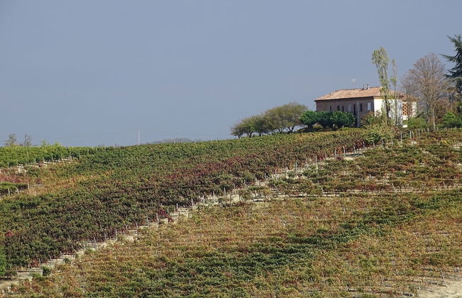 Al Tirabusòn Countryhouse - Foto 31