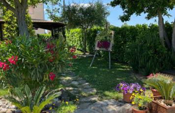 Assisi, la Noce - Foto 25