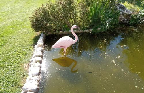 gite repos et tranquillité P - Foto 18