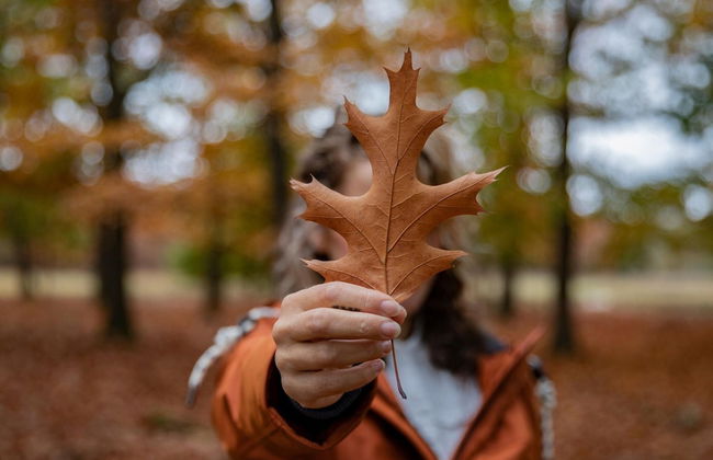 Villa in Someren Near Somerense Heide - Photo 14