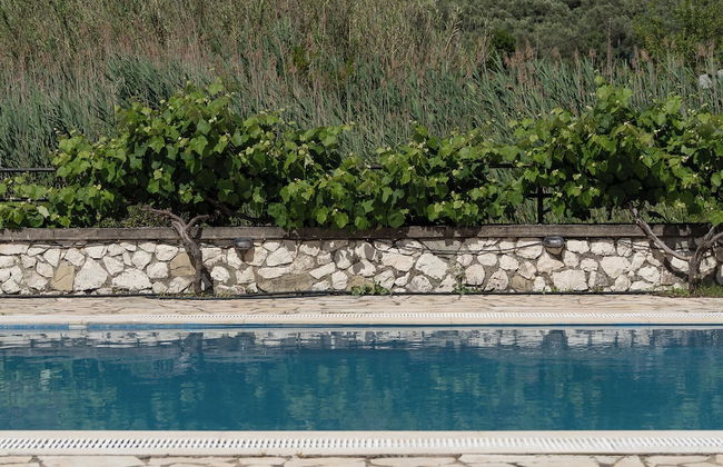 Ionian Memories - Photo 42