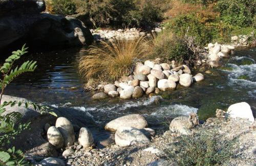Sud Ardeche joli chalet clim piscine rivière LE CERF Village du serre - Photo 19