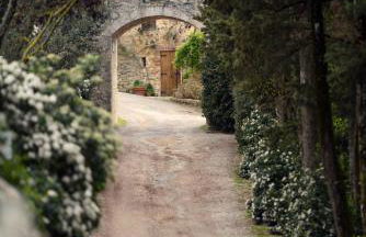 Castello di Fighine - Foto 51