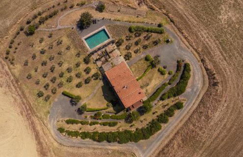 Podere San Pasquale - La Vigna - Foto 24