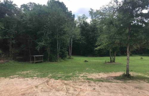 Tiny home with hammock loft BBQ and yard - Foto 15