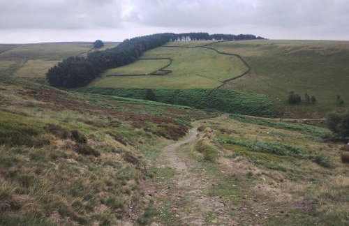 The Peak Retreat - Foto 26