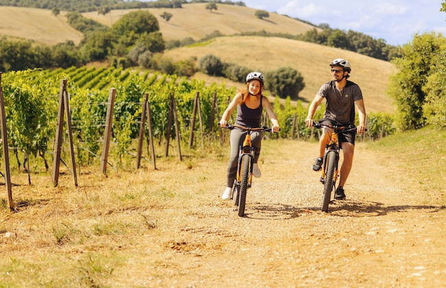 Wine Relais in Montecucco - Photo 62