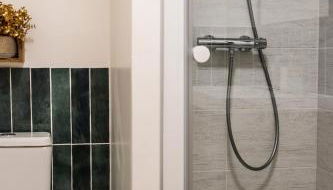 Cosy Haven Studio rénové, élégant Pougues les Eaux - Foto 5, Shower