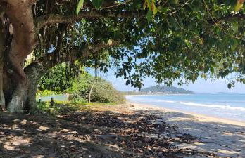 Casa Verde -temporada/Beto Carrero - Foto 33