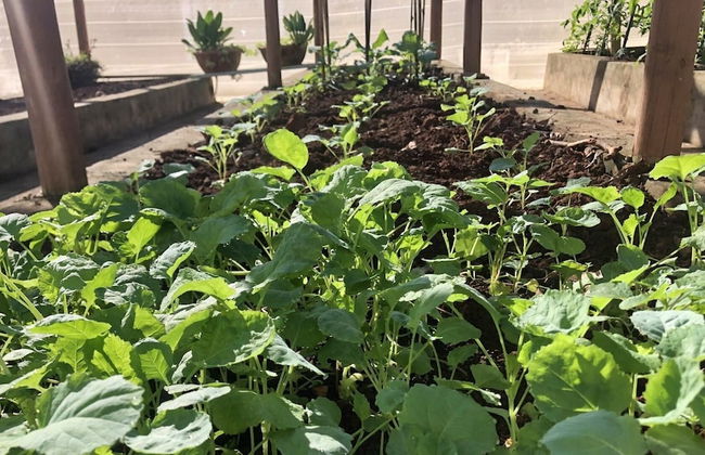 Casa de Campo Ideal para Famílias e Amigos - Photo 45