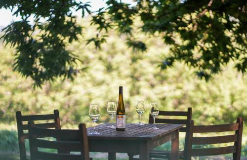 Wine Tourism - Quinta do Ameal - Foto 9