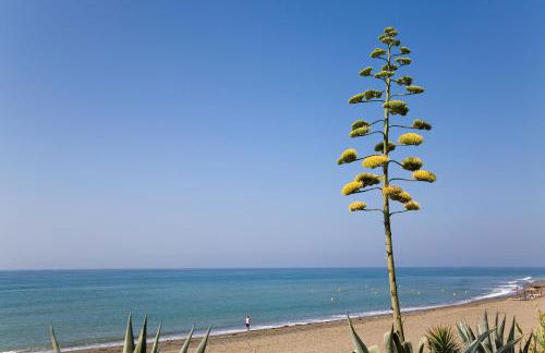 Apt 322 Heaven Beach Apartments, Guadalmansa Playa - Photo 29