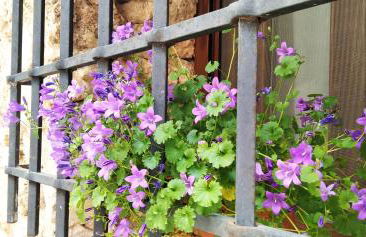 La Casa Gran - Foto 15