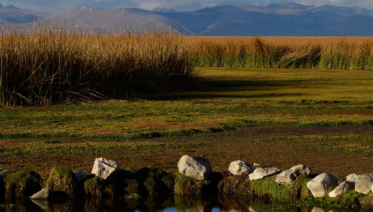 Chacamarca Sanctuary, Lake Junin & Ondores Tour