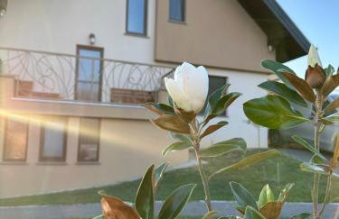 Villa Međimurka - Foto 5