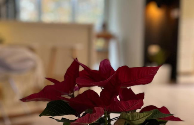 KLT Blloku Center - Foto 4