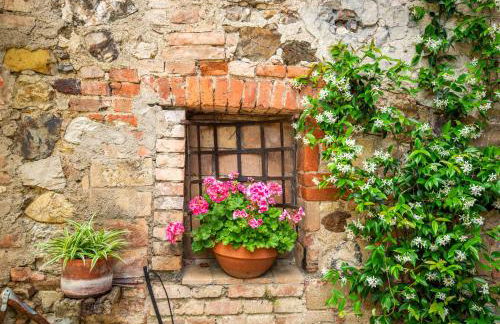 Casa Rosa a Murlo - Photo 26