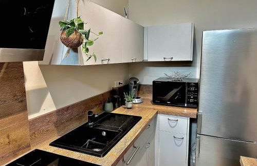 Cocooning coeur de Troyes - Foto 13