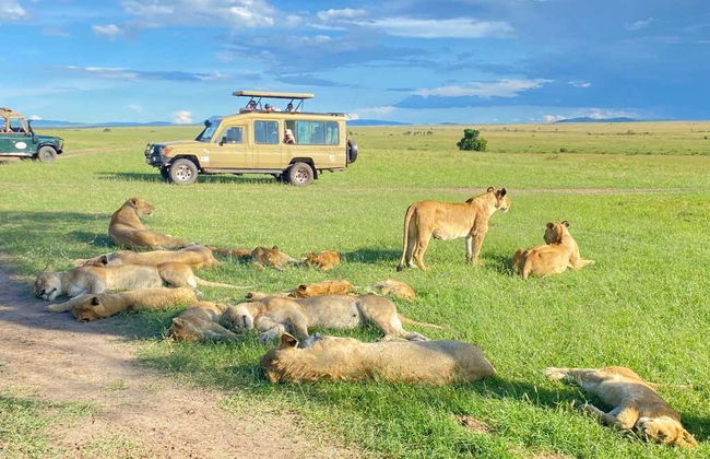 Safari de 3 días por Masái Mara - Foto 4