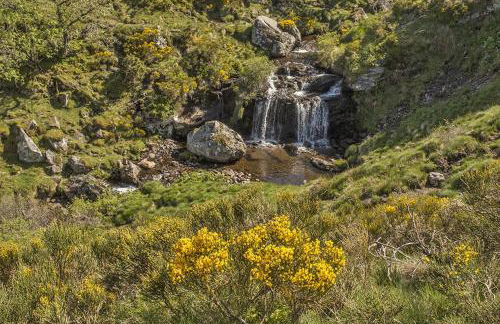 Grand duplex au coeur de Murat - Photo 24