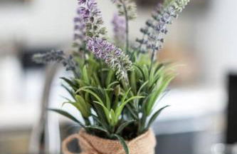 ZRoyal Stay 2BR Near Fort Cavazos - Ideal for TDY, Travel Nurses, Contractors & Extended Stays - Foto 33