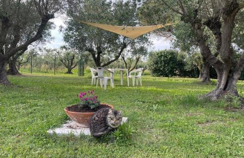 Agriturismo I GRANAI - Foto 23