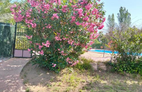 El Madroño de la Encantada - Foto 6