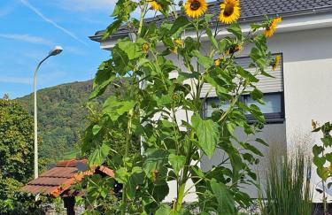 Ferienwohnung Otschik - Foto 11