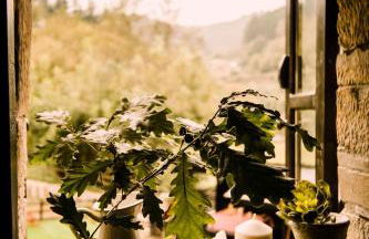 Casa Calma Rural - Foto 22