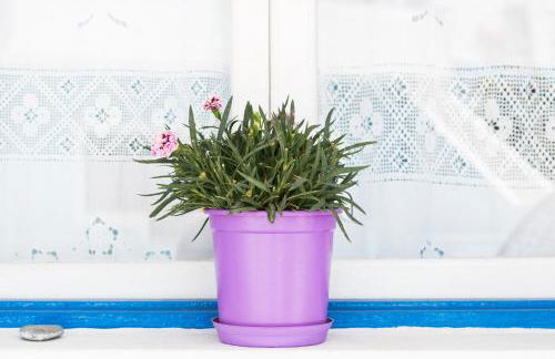 Captain Elias Studios 2 - Foto 16