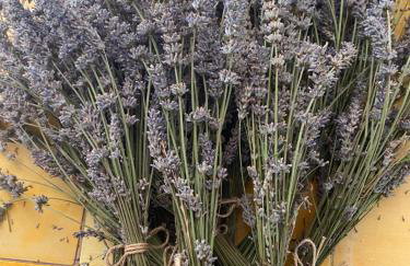 L'Usine en Provence - Foto 78