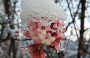 Gîte du Charri - Foto 11