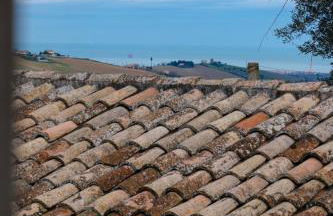 La Casa di Vina - Foto 10