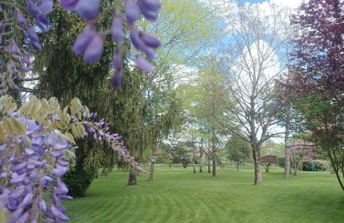 Logis de LANGE studio 2 p - Foto 13