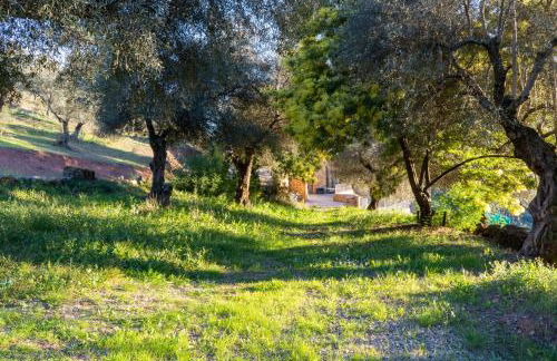 Casas Rurales Las Cuevas El Rincón - Foto 16