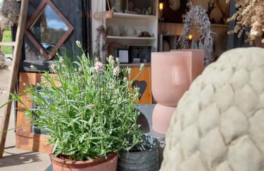 Ferienwohnungen Schneider - Foto 6