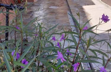 Nini's House 1 Nydri - 100m from beach NYDRI TOWN CENTER - Foto 19